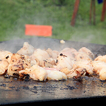 バーベキューガーデンでBBQ05